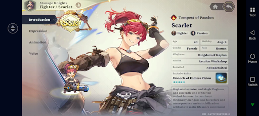 Fire AoE Sustain Team