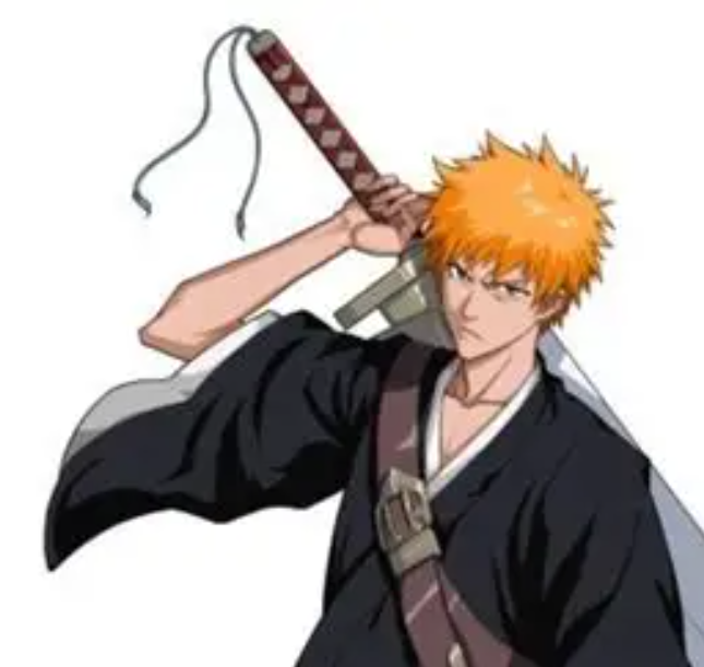 쿠로사키 이치고&middot;시해